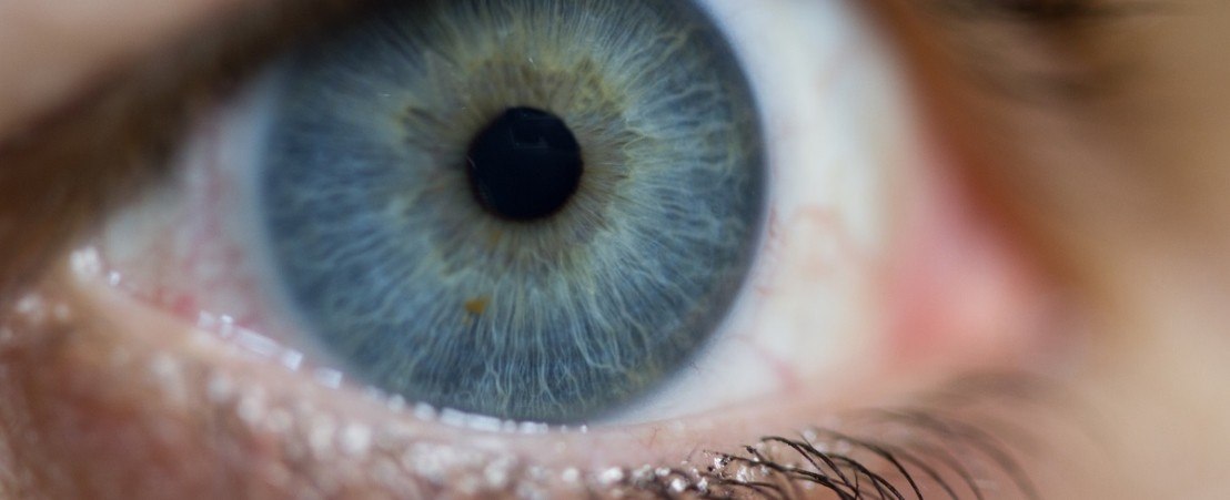 Motilité oculaire et Strabisme