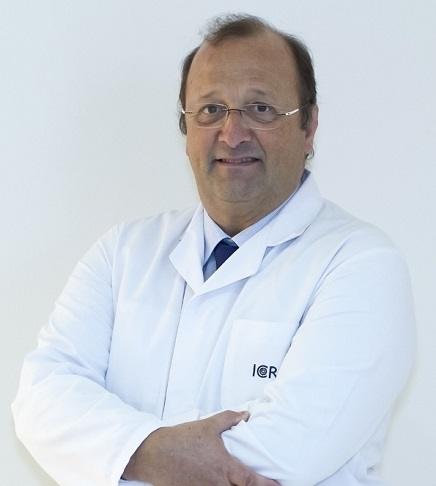 Dr. Lluís Bruix - ICR