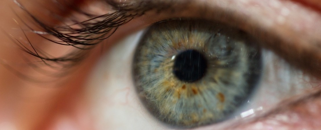 Blepharitis, styes and chalazia icr Stue skab