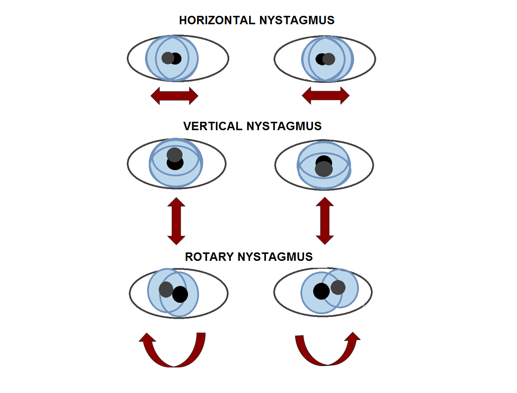 is horizontal up and down