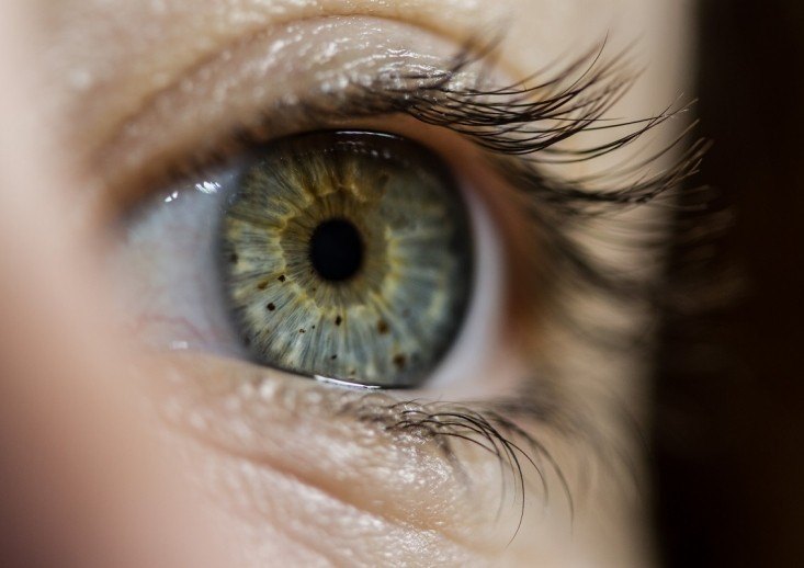 محجر العين و جراحة الجفون التجميلية