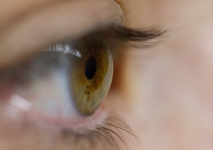 طب الاعصاب البصرية