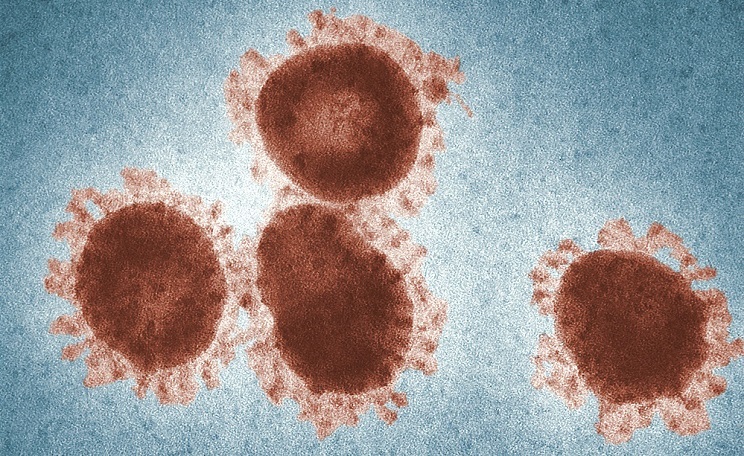 Relation entre le coronavirus et l&rsquo;ophtalmologie