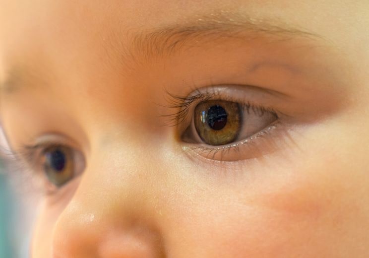 Com creixen els nostres ulls?
