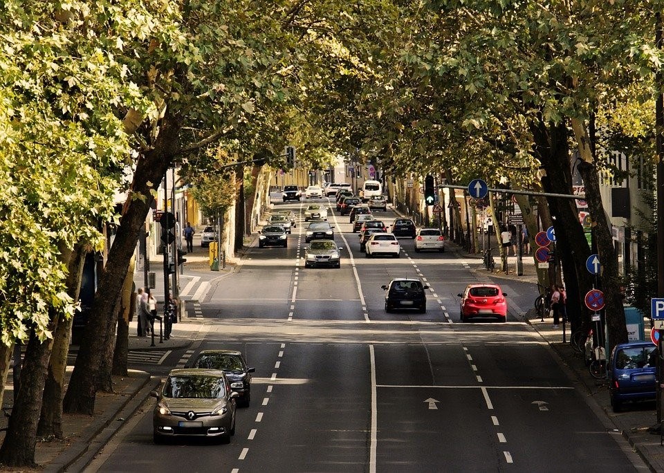 Para evitar la alergia se recomienda cerrar las ventanas del coche para que no entren sustancias externas.