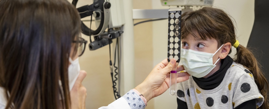 مراجعة الحول