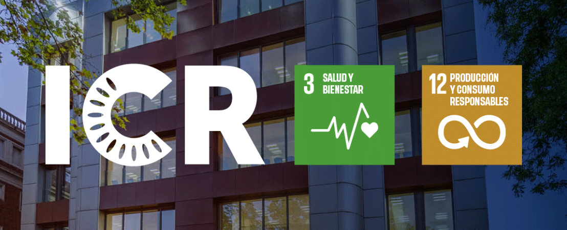 Objetivos principales de Responsabilidad Social Corporativa de ICR