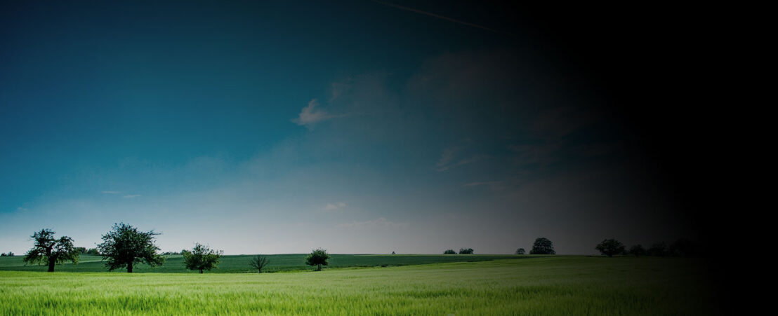 pérdida de visión parcial provocada por un desprendimiento de retina