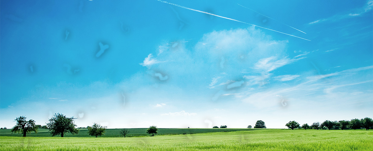 las miodesopsias o moscas volantes podrian ser un síntoma del desprendimiento de vítreo