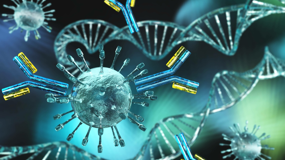 El sistema immune del nostre cos produeix una resposta inflamatòria immune, tot i que en òrgans com els ulls, que tenen privilegi immune, la resposta és limitada